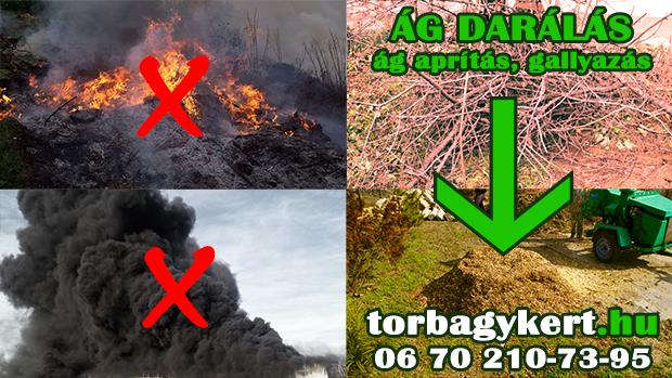 Ágaprítás Kerepes